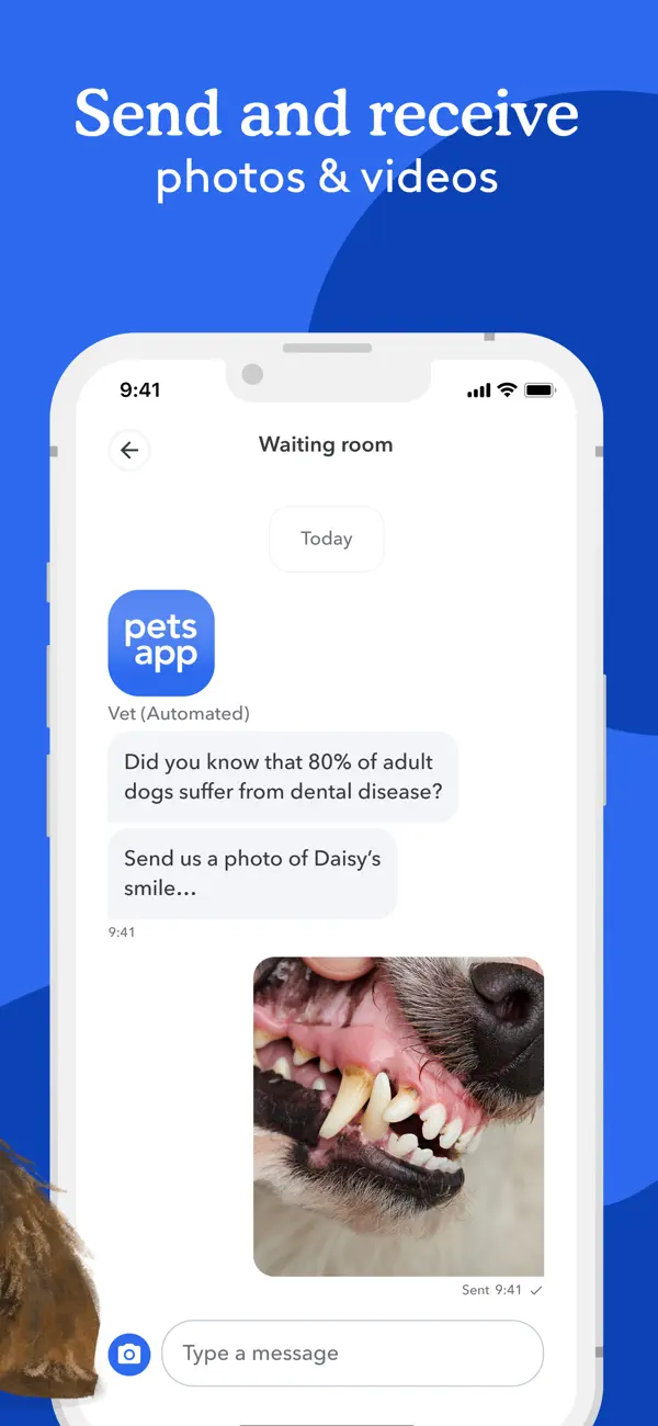PetsApp screenshot 4
