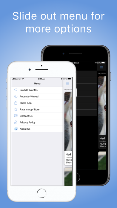 PetView360: Find & Adopt a Pet screenshot 1