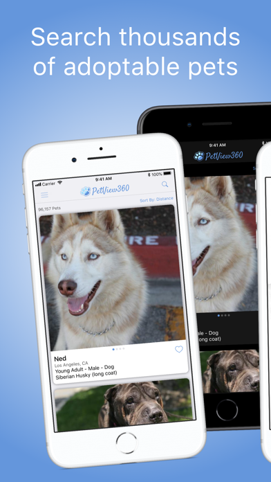 PetView360: Find & Adopt a Pet screenshot 6