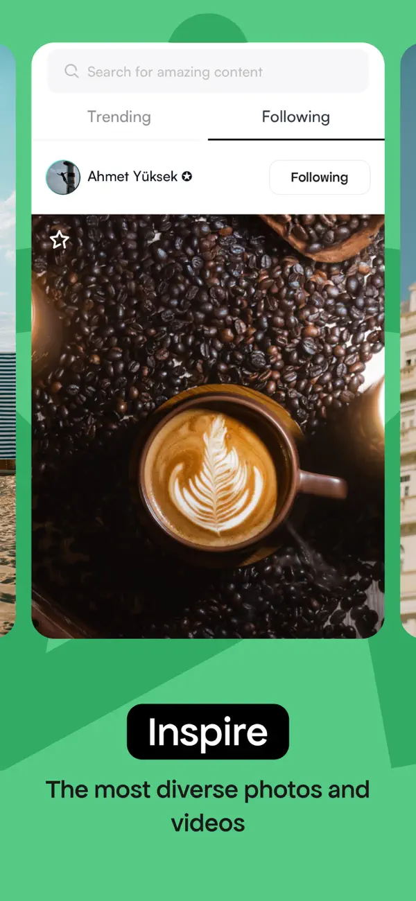 Pexels screenshot 4