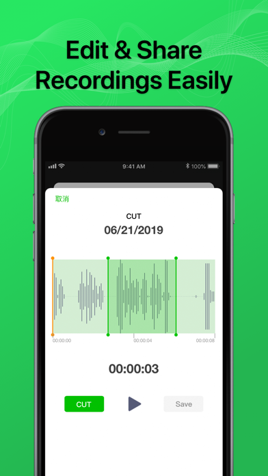 Phone Call Recorder-Recording screenshot 1