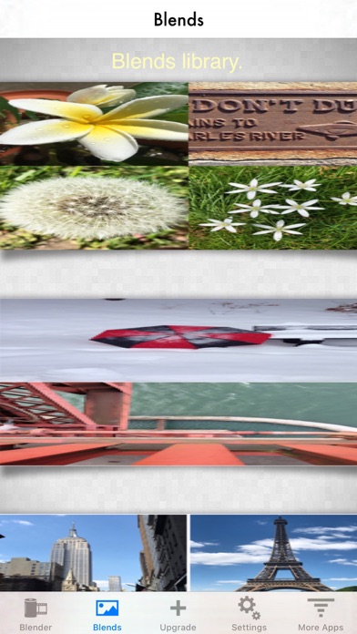 Photo Blender screenshot 4