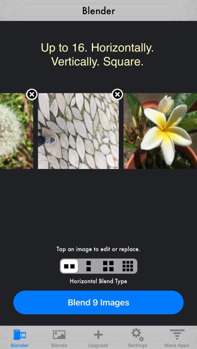 Photo Blender screenshot 9