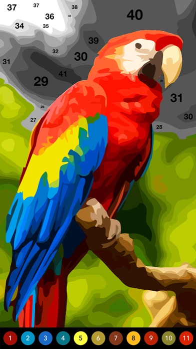 Photo by Number screenshot 1
