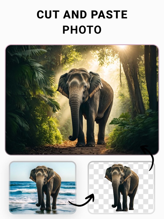 Photo Cut: Cutout pro & paste screenshot 7