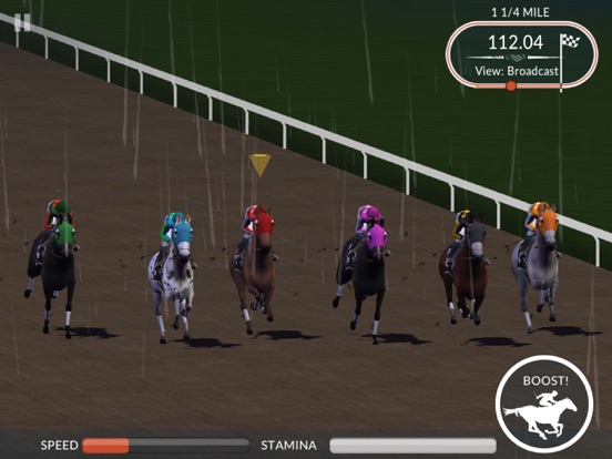Photo Finish Horse Racing screenshot 2