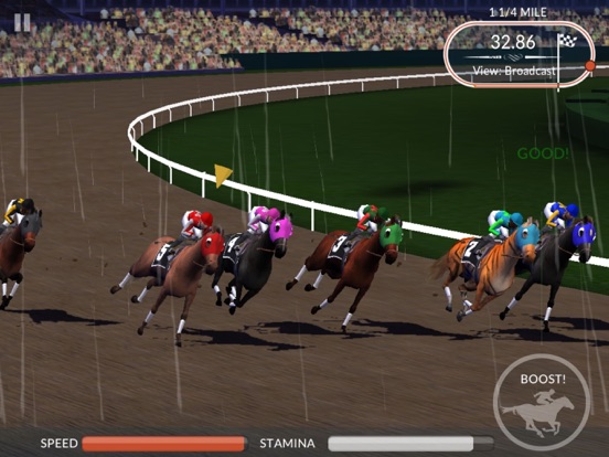 Photo Finish Horse Racing screenshot 3
