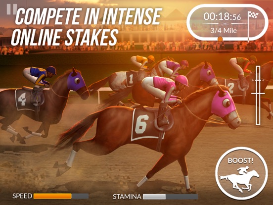 Photo Finish Horse Racing screenshot 9
