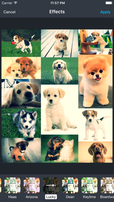 Photo Quilt Auto Collage Maker screenshot 1