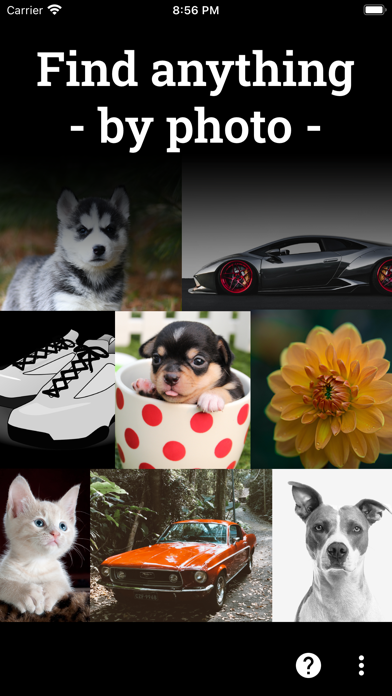 Photo Sherlock search by image screenshot 3