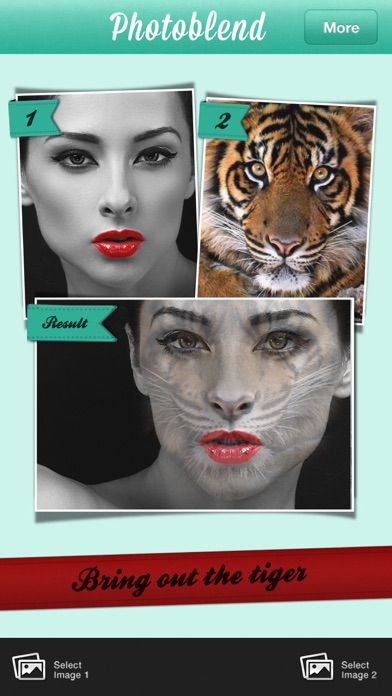 Photoblend Pro blend your pics screenshot 4
