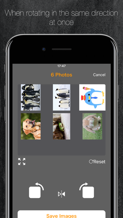 Photos Rotator screenshot 4