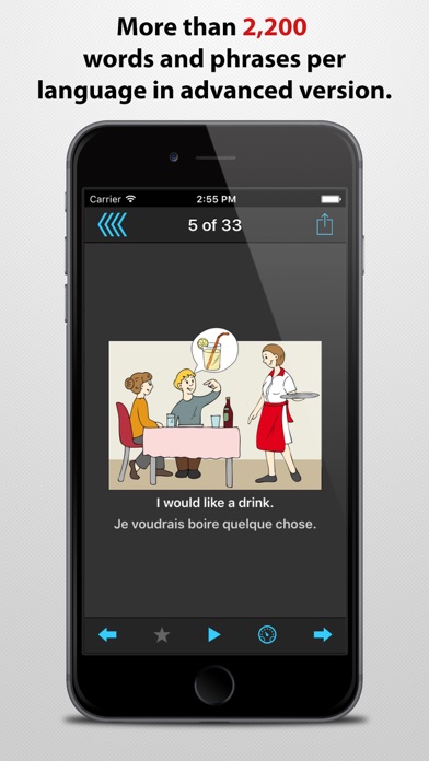 Phrasebook - over 30 languages screenshot 4