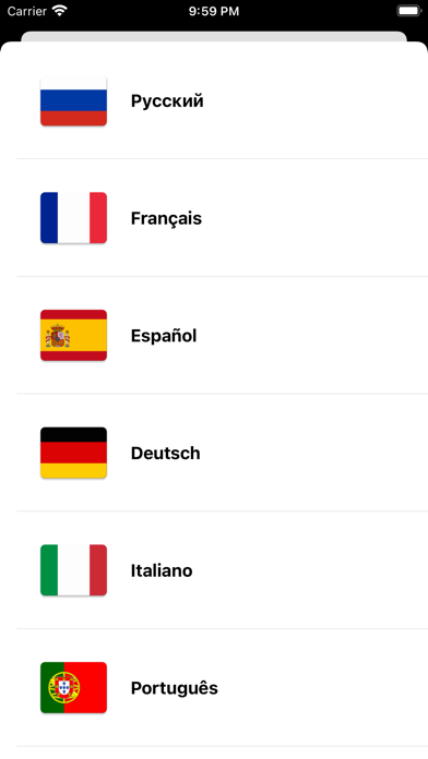 Phrasebook | Six languages screenshot 3