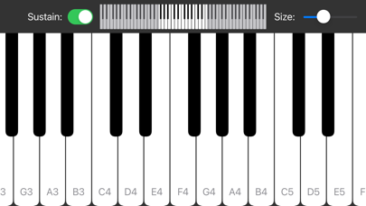 Piano Keyboard - Play Music screenshot 1