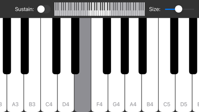 Piano Keyboard - Play Music screenshot 4