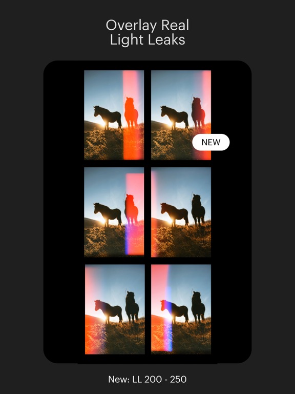 PICFX Picture Editor & Borders screenshot 6