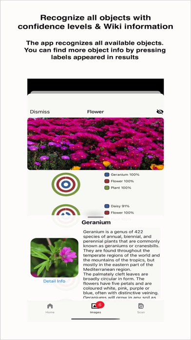 PicSnatcher - Image Recognizer screenshot 1
