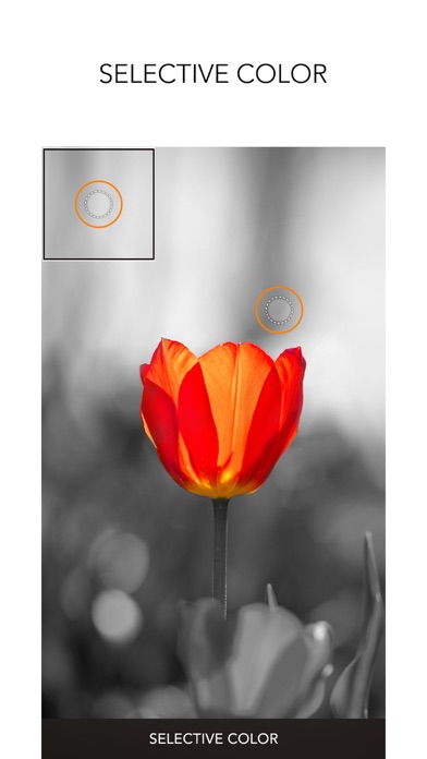 PICSPLAY Classic screenshot 1