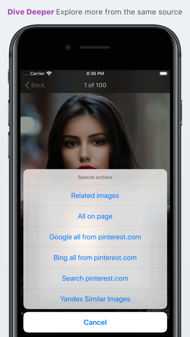 picTrove screenshot 3