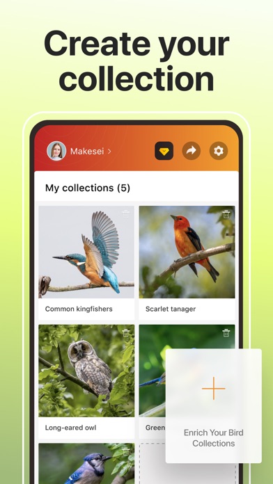 Picture Bird: Bird identifier screenshot 1