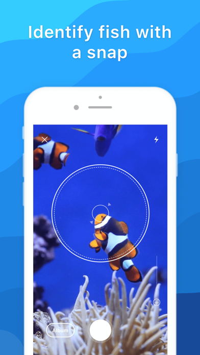 Picture Fish - Fish Identifier screenshot 4