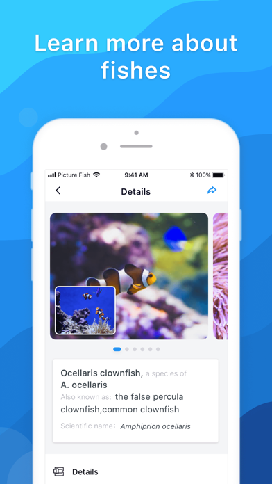 Picture Fish - Fish Identifier screenshot 1