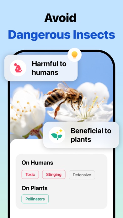 Picture Insect: Bug Identifier screenshot 4