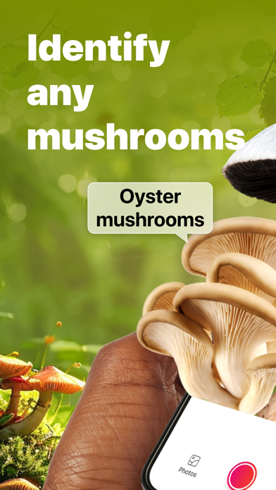 Picture Mushroom: Identifier screenshot 1