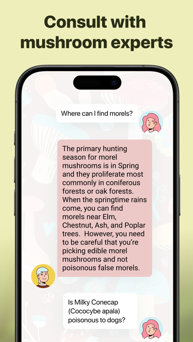 Picture Mushroom: Identifier screenshot 3