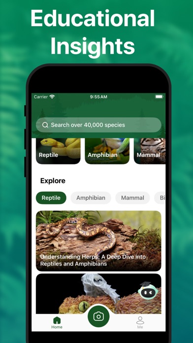 Picture Nature: Animal ID screenshot 2