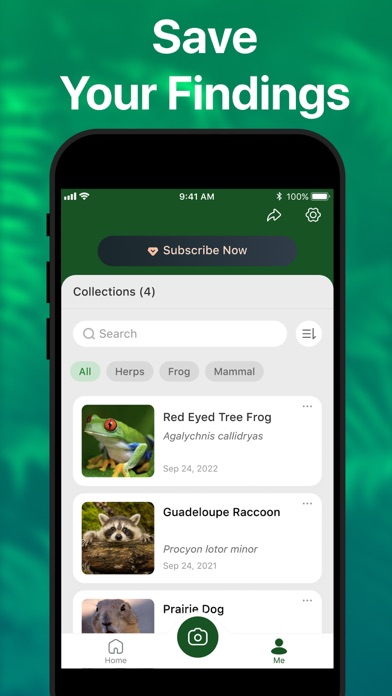 Picture Nature: Animal ID screenshot 1