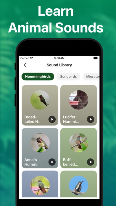 Picture Nature: Animal ID screenshot 3