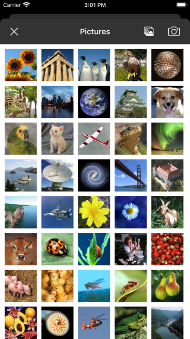 Picture Tile Slider screenshot 1