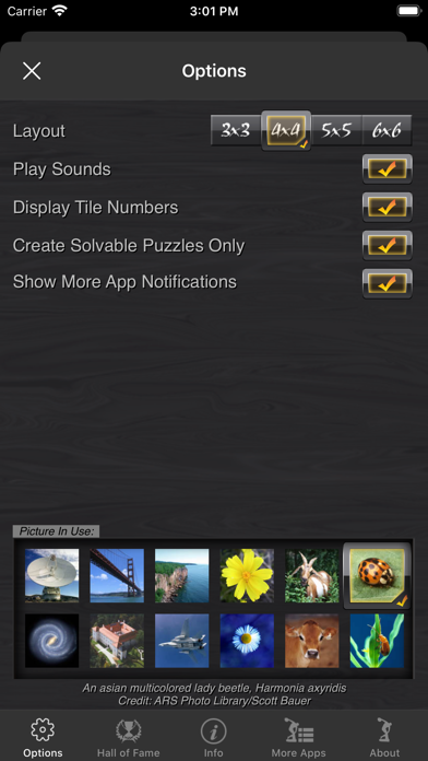 Picture Tile Slider screenshot 2