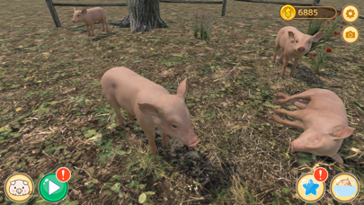 Piglet Garden screenshot 5