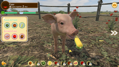 Piglet Garden screenshot 1