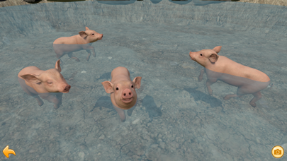 Piglet Garden screenshot 4