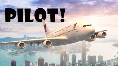 Pilot! screenshot 5