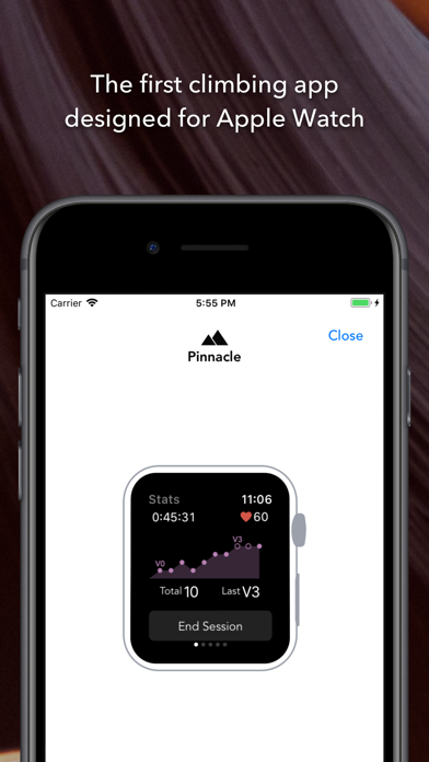 Pinnacle Climb Log screenshot 5