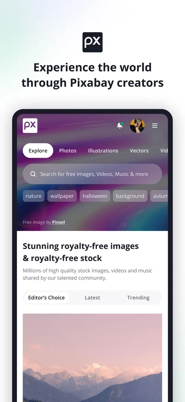 Pixabay screenshot 3