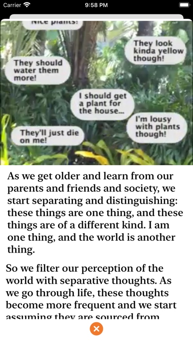 PlainZen screenshot 3
