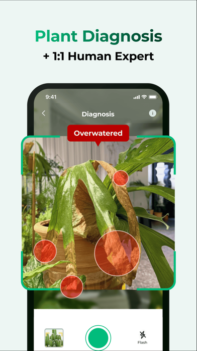 Plant Care: Plantingo screenshot 2