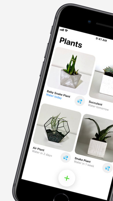 Plant Daddy — Water Reminders screenshot 8