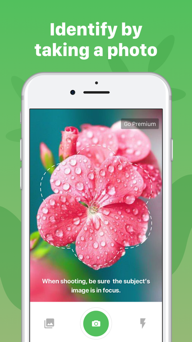 Plant Identification ++ screenshot 3