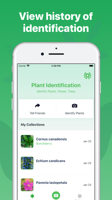 Plant Identification ++ screenshot 1