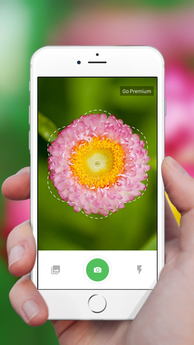 Plant Identification ++ screenshot 6