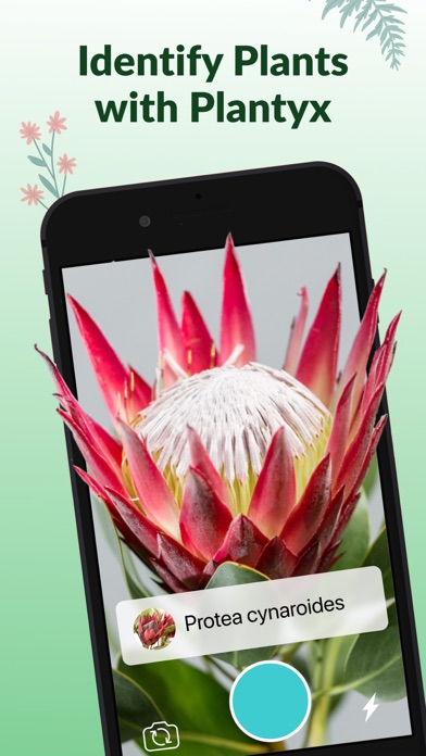 Plant Identification－Plantaria screenshot 5