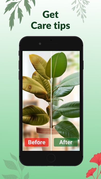 Plant Identification－Plantaria screenshot 4
