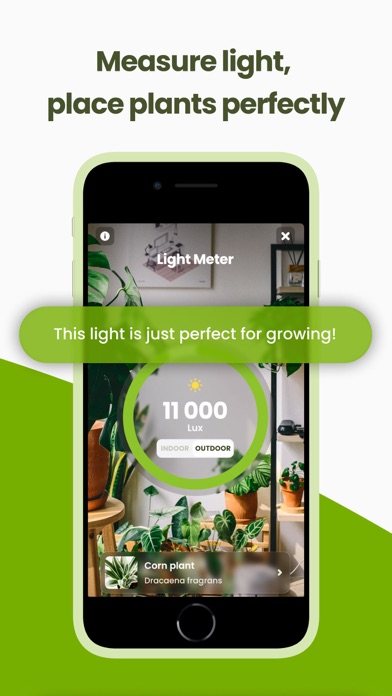 Plant Identifier & Care: Ficus screenshot 2